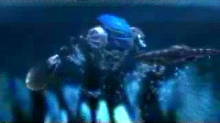 swim.jpg