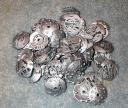 silverbohrokshields.jpg