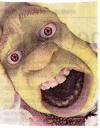 shrek.jpg