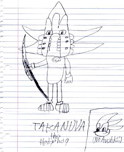 takanuvathehedgehog.jpg