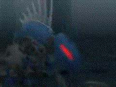 runaway.jpg