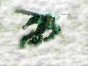 foggy.jpg