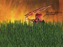 grass.jpg