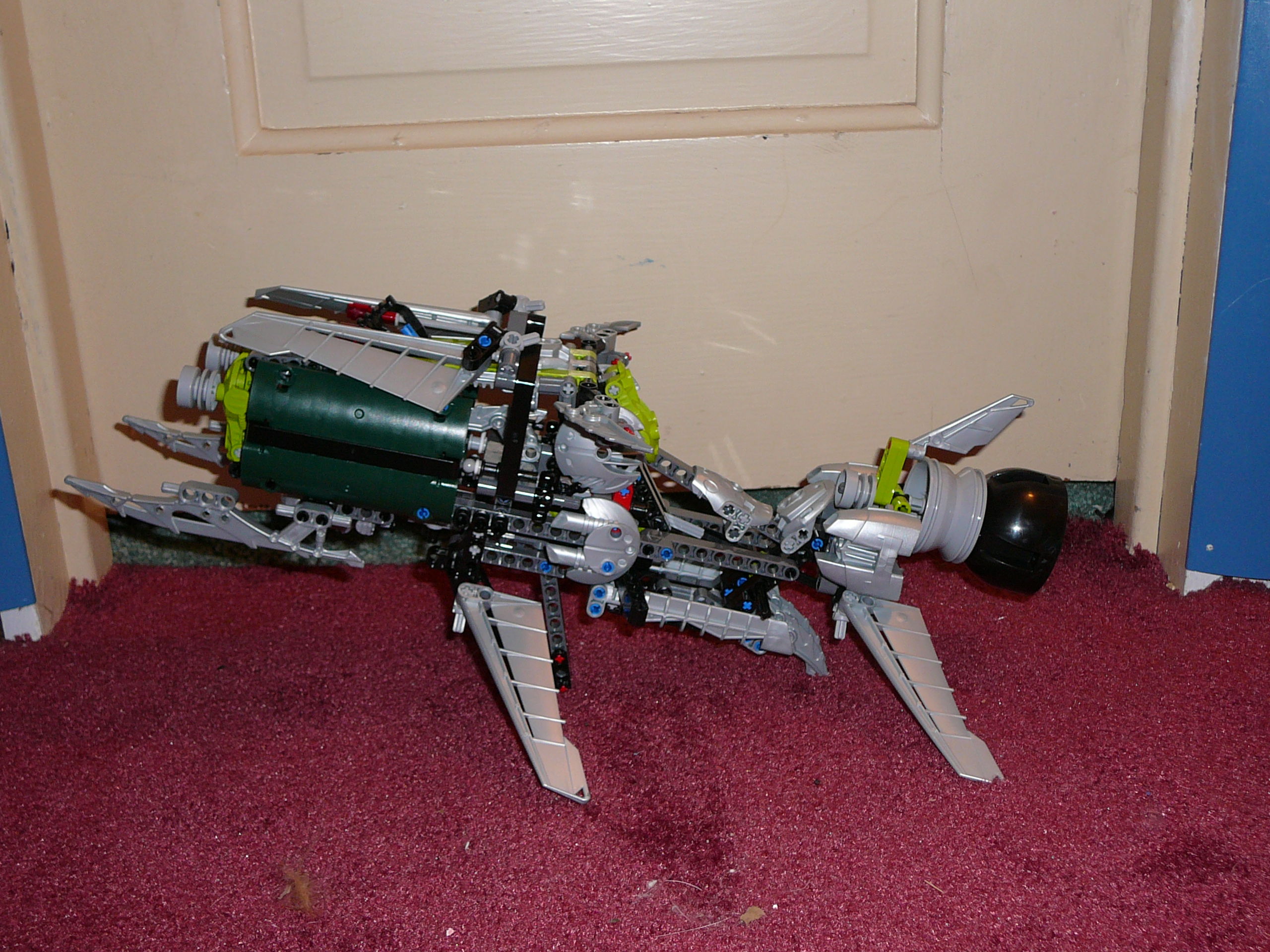 p1000591.jpg