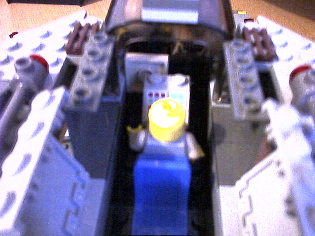 otana-2p.jpg