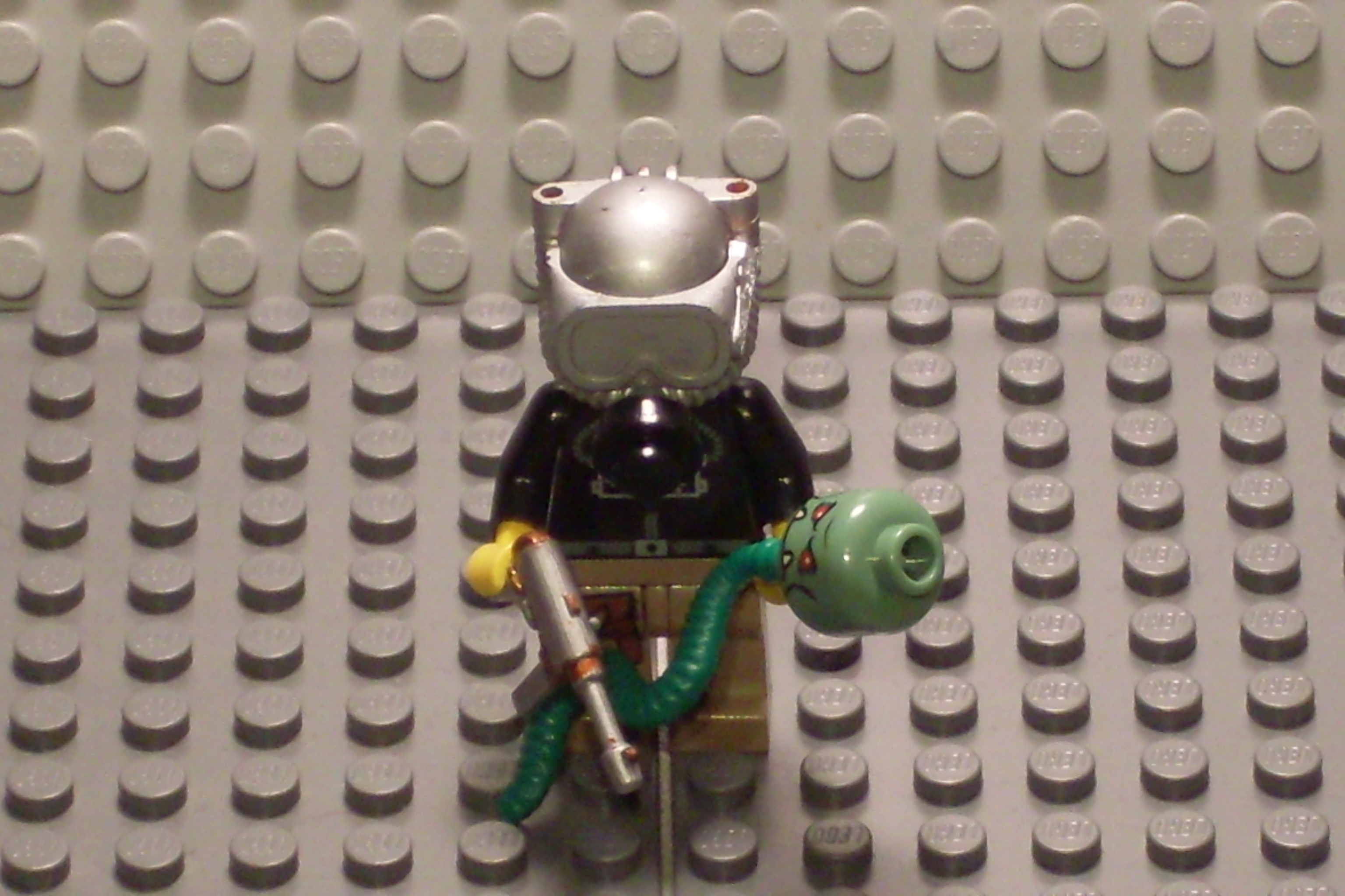 sdc10432.jpg