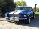 stang44.jpg