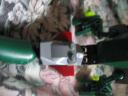 500_0016.jpg