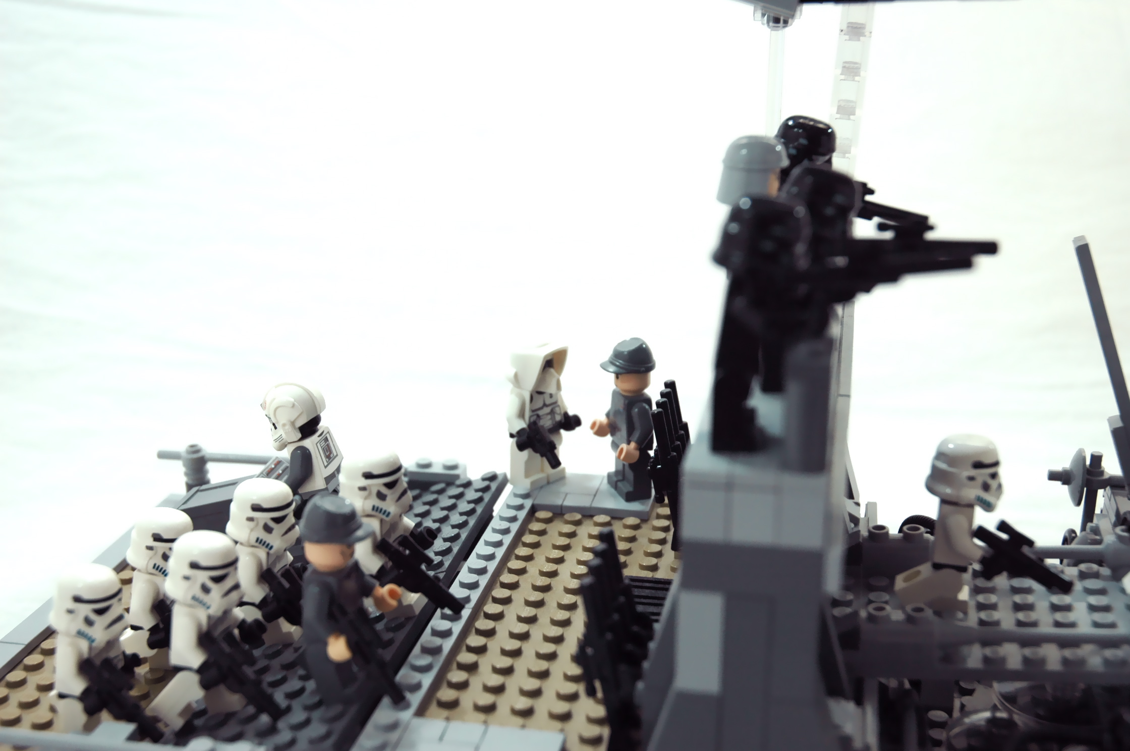 dsc_0010.jpg