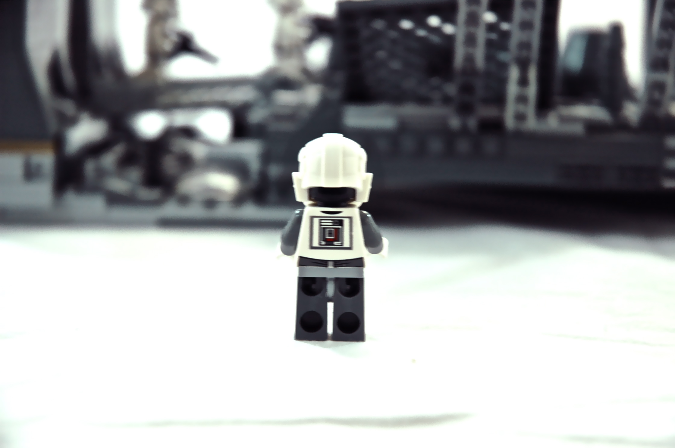 dsc_0031.jpg