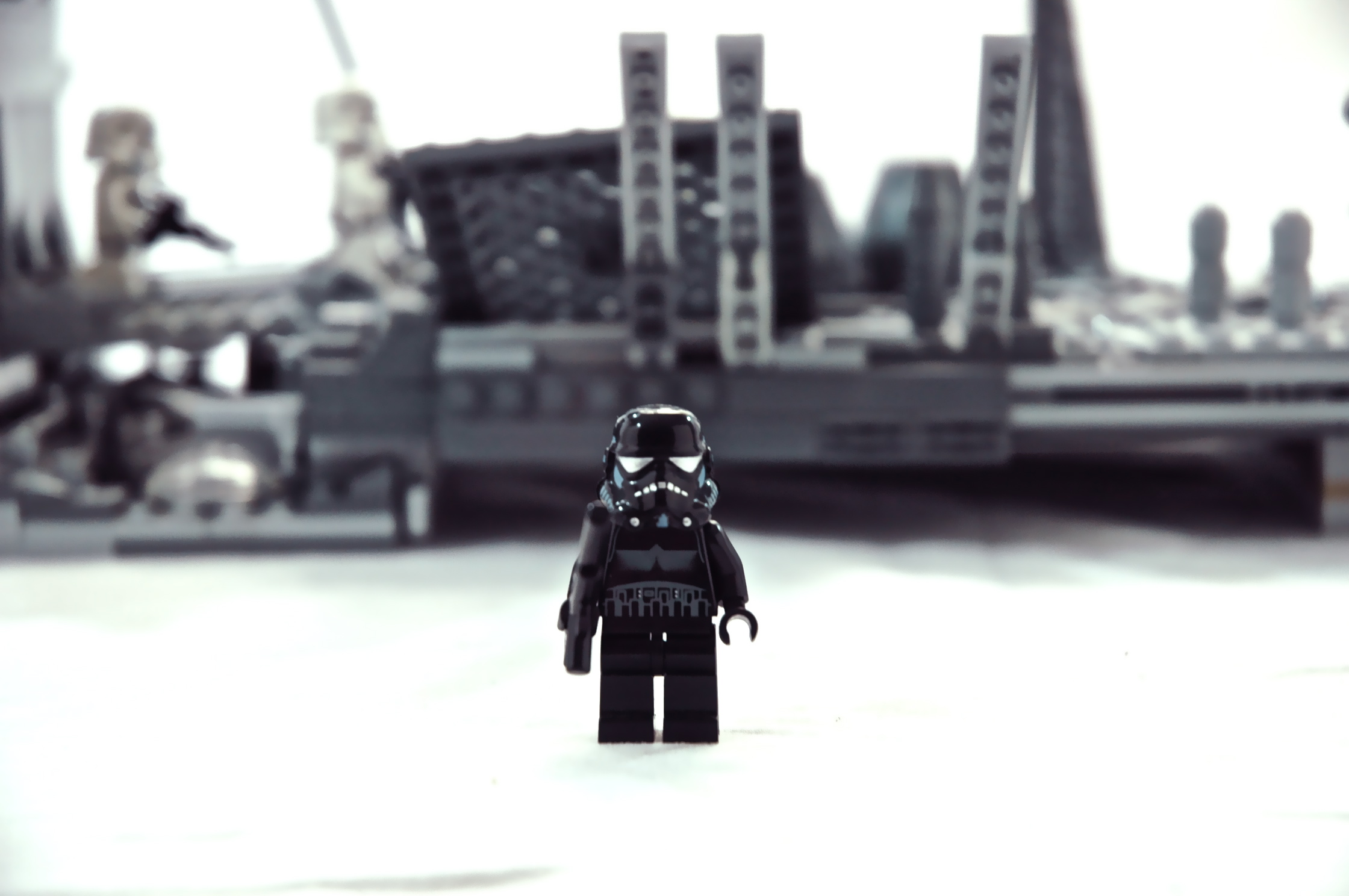 dsc_0049.jpg