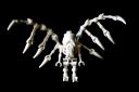 Angel-Skeleton