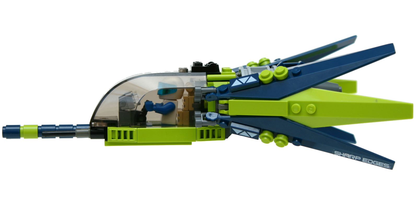 dragonfly_11.jpg