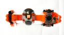 threethorn_hawk_11-1.jpg