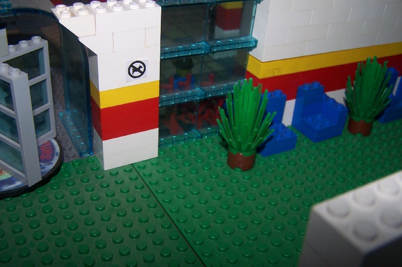 insides11.jpg
