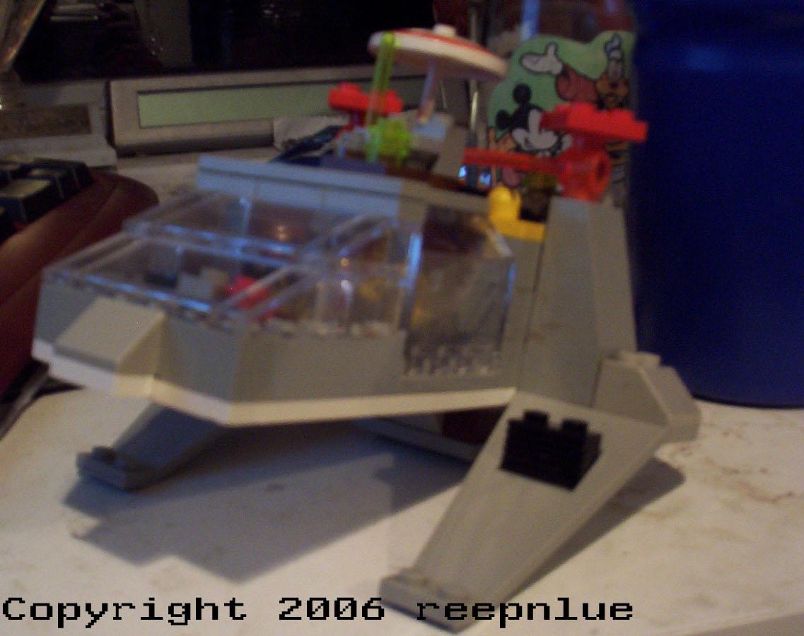 pic1.jpg