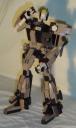 dsc00856.jpg