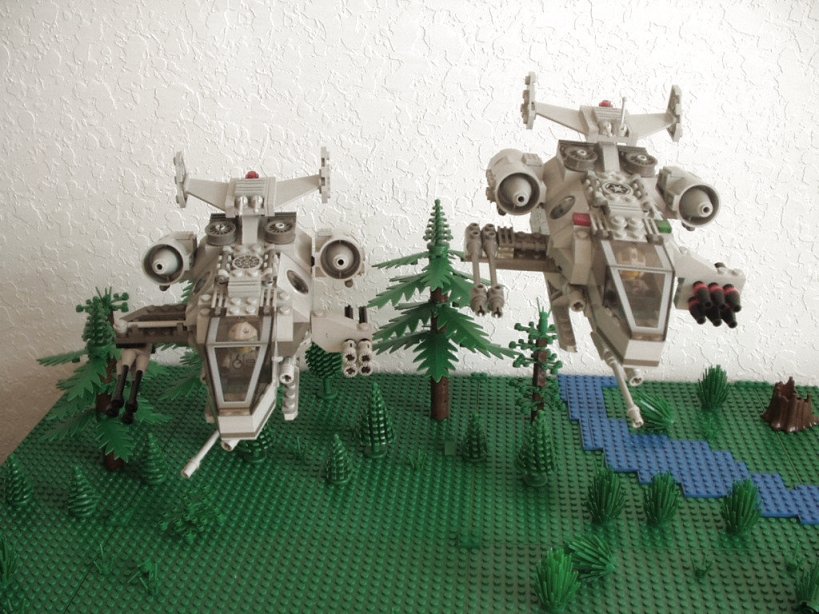 avc31t1.jpg