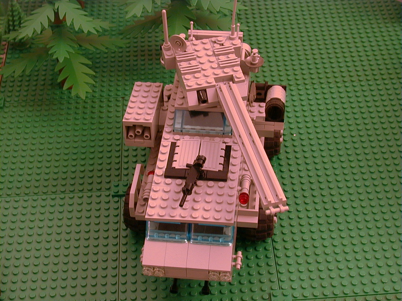 aav20b.jpg