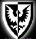 Avatars