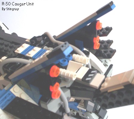 cougar7-hips.jpg