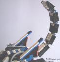 cougar8-tail.jpg