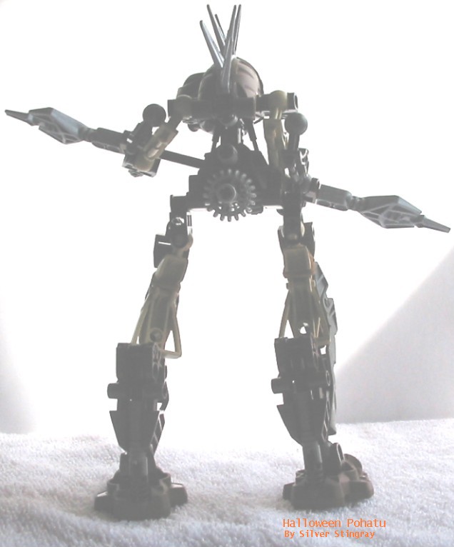 back.jpg
