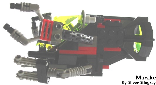 crab-side-view.jpg