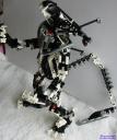 Xeno