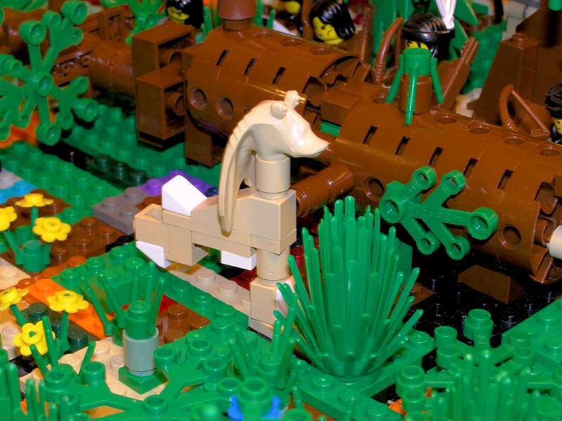 jungle_surprise_015.jpg