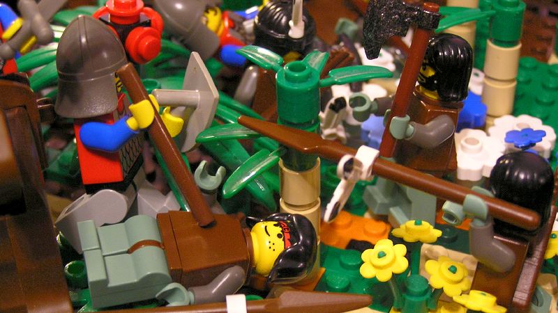 jungle_surprise_056.jpg