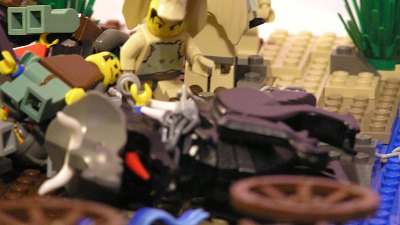 jungle_surprise_082.jpg