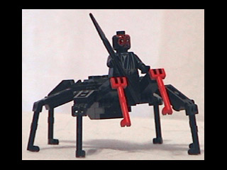 pic1.jpg