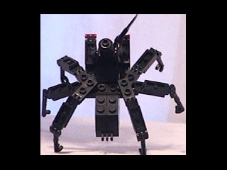 pic3.jpg