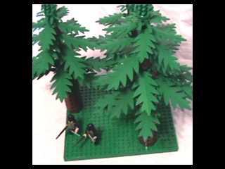 pic2.jpg