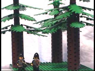 pic4.jpg