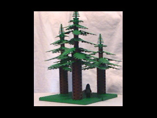 pic5.jpg