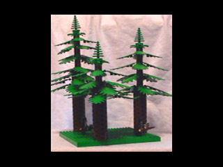 pic7.jpg