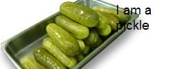pickle.png
