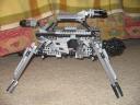 scarab_002.jpg