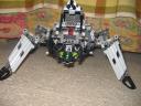 scarab_003.jpg