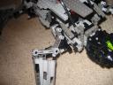 scarab_004.jpg