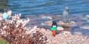 littlemermaid02.jpg