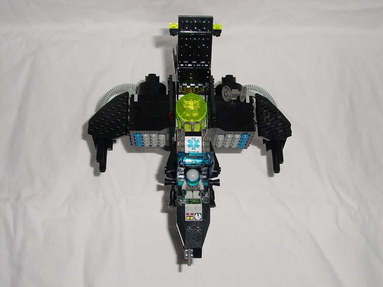 dsc00010.jpg