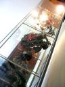 08_halogen-downlights.jpg