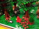 20121124_152048.jpg