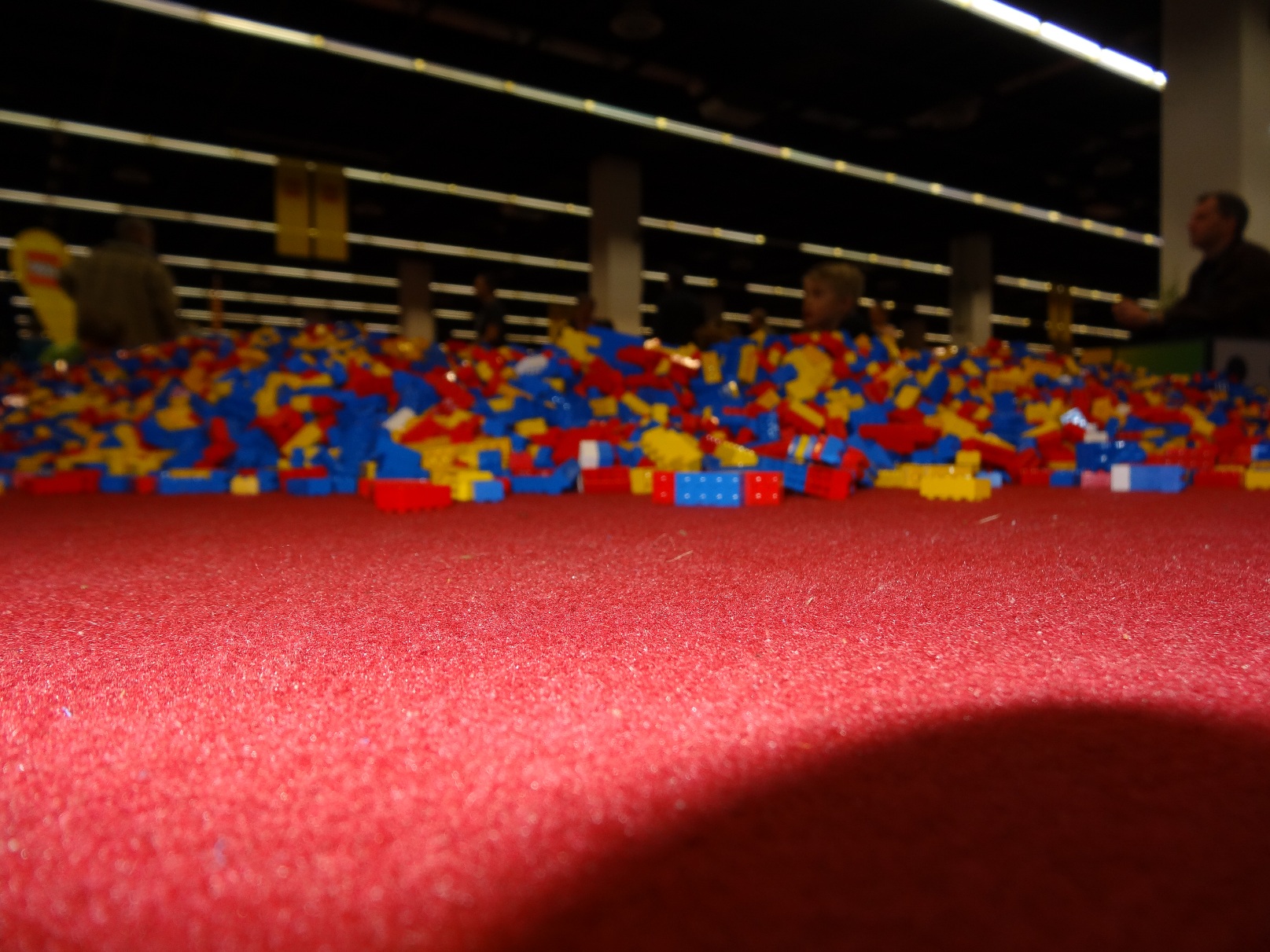 dsc00312.jpg