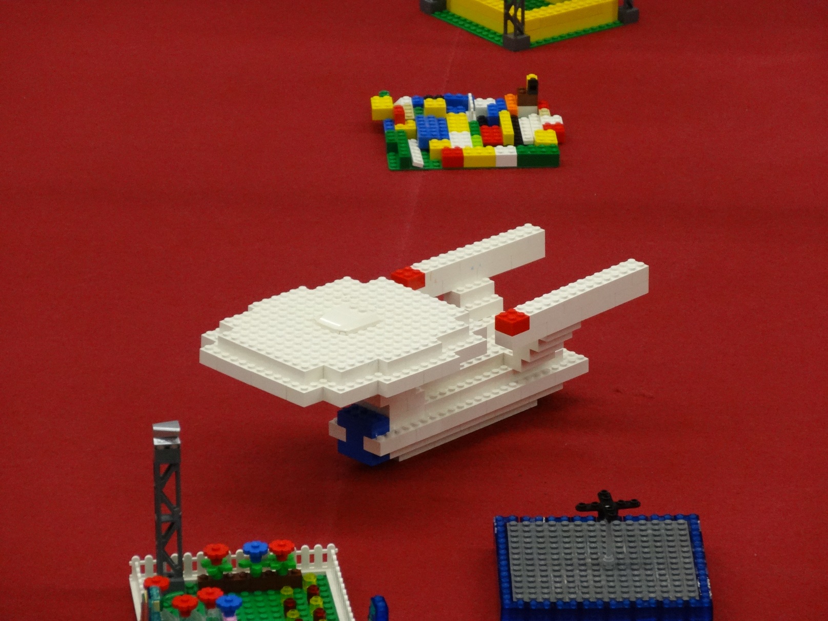 dsc00319.jpg