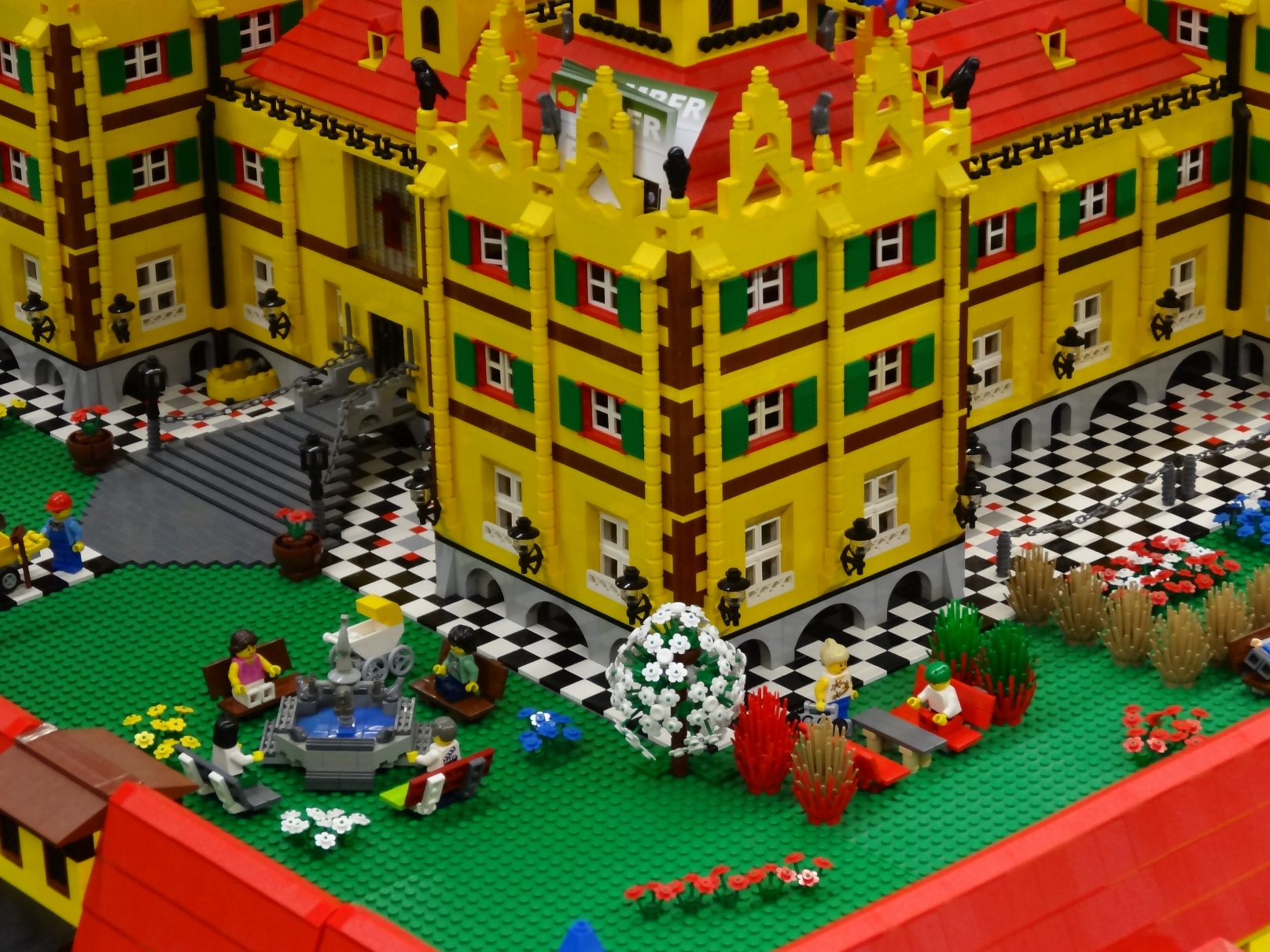 dsc00404.jpg