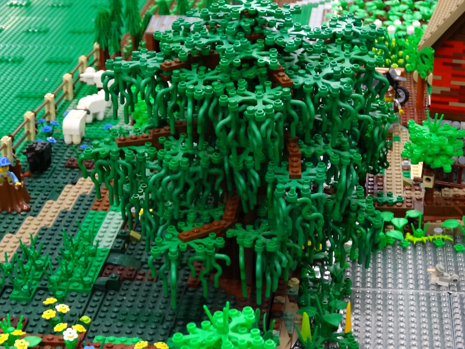 dsc00495.jpg